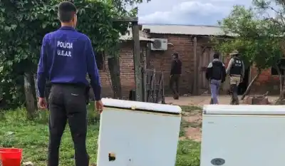 El robo de cinco vacas terminó con dos hombres huyendo y un allanamiento: qué encontraron