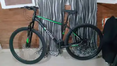 Volvió a su casa y vio a un hombre salir en bicicleta: lo que faltaba adentro