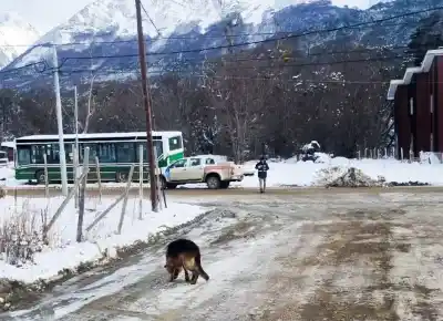 Ushuaia: los vecinos del Pipo se quedaron sin excusas y ahora les caen con todo
