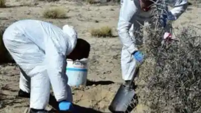 Un vecino paseaba a su perro en Trelew y se topó con algo que nadie esperaba