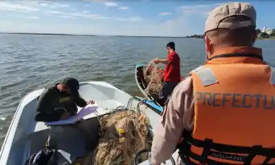 Un cardumen de casi 2 km de dorados obliga a frenar la pesca: hasta cuándo durará