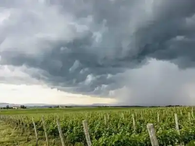 Formosa estrena una herramienta que anticipa qué campos pueden quedar bajo el agua