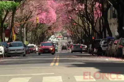 Entre Ríos arranca la semana congelado, pero el termómetro tiene un plan distinto