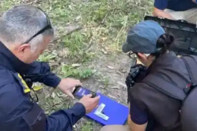 Se hizo pasar por su pareja para citar al amante en el monte: lo que pasó después fue violento