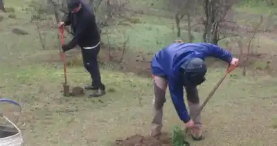 Una vecina plantó más de 40 árboles en la reserva de Cuesta Blanca: el plan que sigue