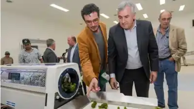 Cannava se llevó casi USD 100 millones y en Jujuy hay 64.600 familias sin casa propia