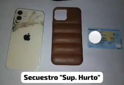 Le arrebataron el celular a un joven, pero un detalle en el operativo los delató