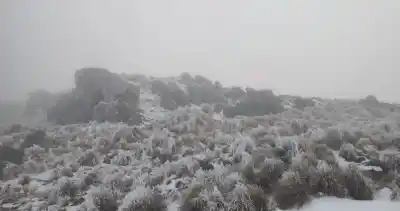 Merlo amanece con heladas y 2 grados: cuándo llega el alivio de 23