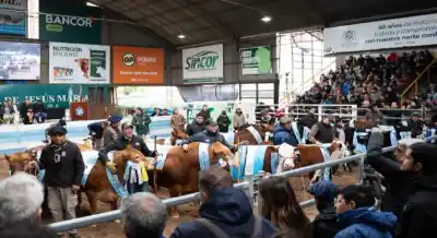 Jesús María cerró su Expo Rural con una cifra que dejó a todos sorprendidos