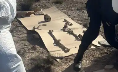 Encontraron 125 piezas óseas en la Doble Trocha y una costilla despertó todas las sospechas