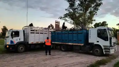 Operativo sorpresa en rutas santiagueñas: el extraño cargamento que no pudo seguir su viaje