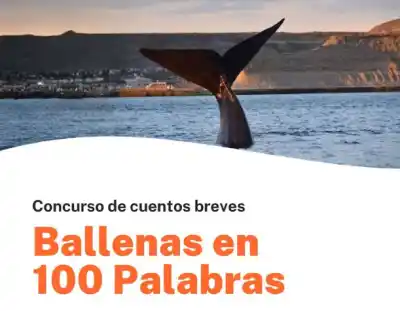 Chubut convoca a escribir sobre ballenas: el premio que se llevan los ganadores