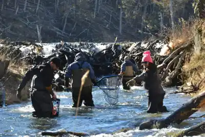 Tierra del Fuego ya trabaja en la temporada de pesca: el operativo que busca asegurar los ríos