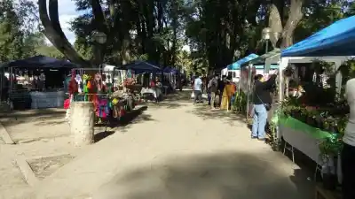 Reclamo en el Parque San Martín: el Concejo ahora quiere escuchar al administrador