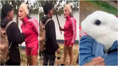 Un barrio entero se moviliza: la increíble historia del conejo robado y la búsqueda que se volvió viral