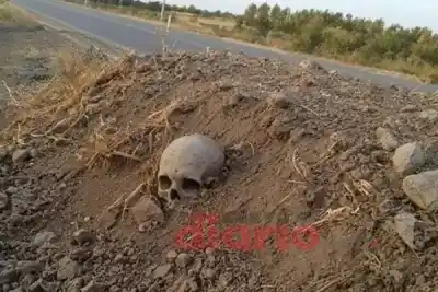 Buscaban otra cosa, pero se toparon con un cráneo a metros de la ruta