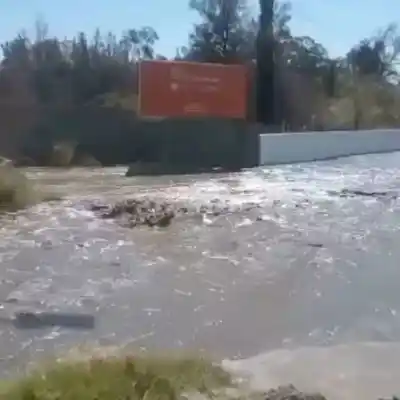 El agua que sorprendió en El Pinar: el detalle que nadie esperaba y el aviso para el verano