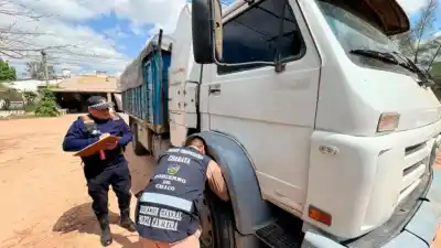 El operativo de la Caminera que terminó con un camión retenido y más de 50 motos secuestradas