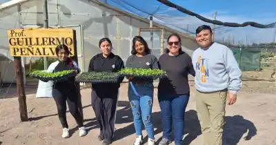 Los estudiantes de San Rafael que cultivan algo más que hortalizas: ¿adónde va lo que producen?