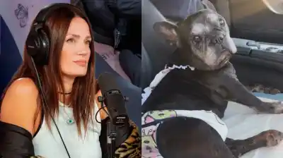 Paula Chaves vivió un momento de terror con su perro: “Estuvo cerca de La Parca”