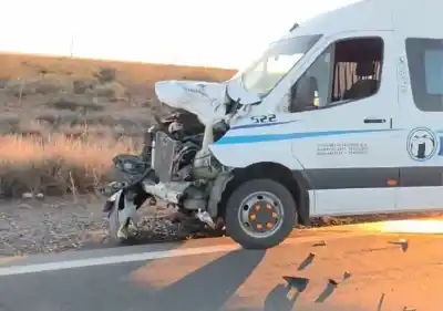 Un caballo apareció en plena Ruta 51 y el viaje de un minibús terminó de la peor manera