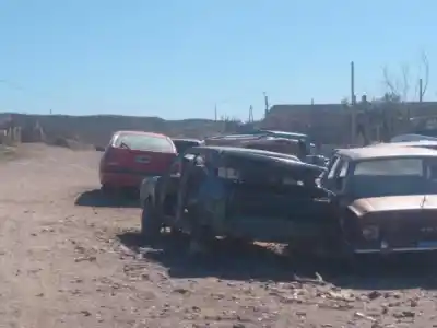 Viven frente a un basural en Roca y hay algo que las tiene aterradas