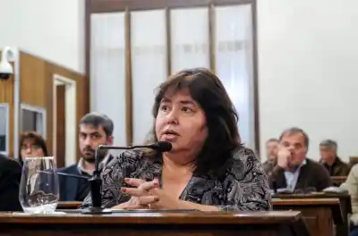 El PJ la echó por votar con Frigerio y ahora ella juega su carta más fuerte