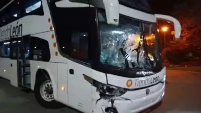 Un micro a Mar del Plata chocó contra un caballo en la Ruta 2: quién terminó pagando millones