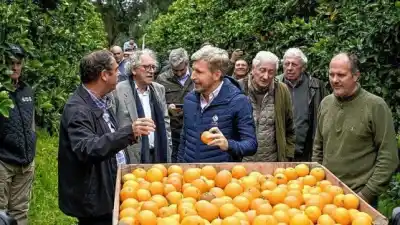 Frigerio quiere abrir un mercado enorme para los cítricos entrerrianos, pero antes debe resolver algo clave