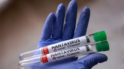 Detectan por primera vez hantavirus en roedores de Catamarca: qué significa para la salud