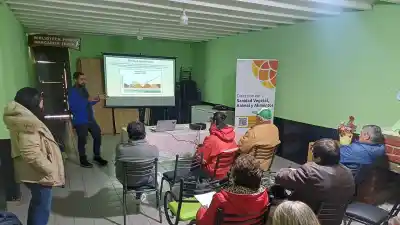 Las trampas que ya están en los membrillares de Jáchal y el plan que busca salvar el "dulce rubio"
