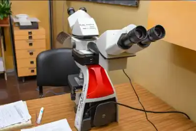 El San Martín sumó un microscopio que cambia la forma de estudiar biopsias