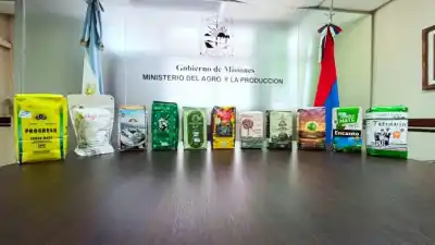 Catorce marcas misioneras se unieron para un envío que nadie esperaba
