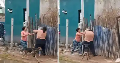 Vecinas se cruzaron en la calle y la pelea terminó con un video que nadie esperaba