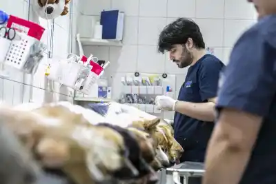 Operativo sorpresa en Almirante Brown: Vecinos hacen fila por un turno clave para sus mascotas