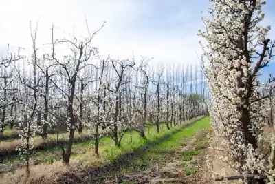 Neuquén se prepara para un encuentro que podría cambiar las reglas del turismo rural