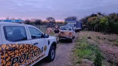 Cargaban un camión en plena madrugada rural: lo que apareció adentro los delató