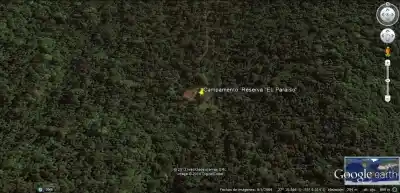 La reserva que casi se apaga en Jardín América ahora recibe ayuda, pero falta algo clave
