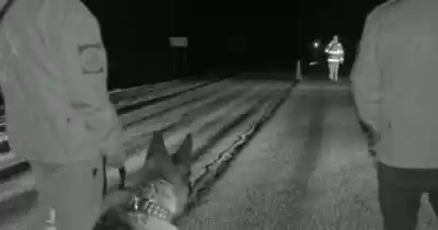 Control en la Ruta 3: dos hombres tenían pedidos de paradero y aparecieron hojas de coca