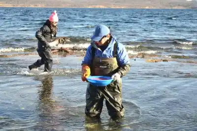 Tierra del Fuego cría 250 mil truchas al año: el dato que casi nadie conoce