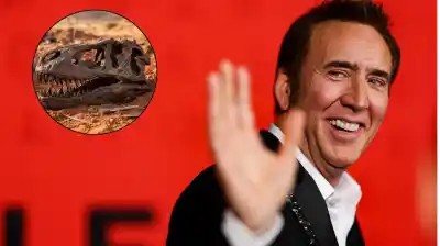Compró un cráneo de dinosaurio por US$276.000 y años después una carta lo obligó a devolverlo