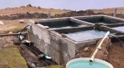 Una historia que parecía olvidada: el pueblo salteño que revivió las truchas