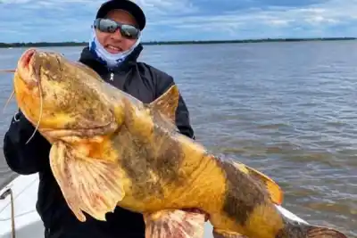 Luchó en el Paraná y sorprendió a todos: el gigante que apareció frente a Esquina