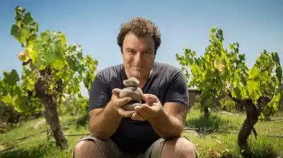 El secreto de Gualtallary: el enólogo argentino que logró lo que pocos en el mundo