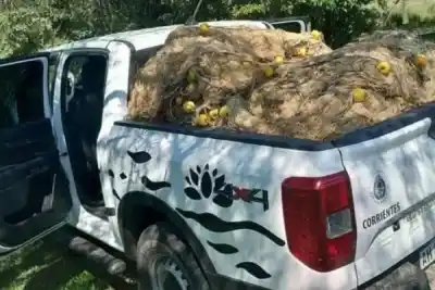 Furtivos acechaban un cardumen gigante en el Paraná: la maniobra nocturna que los dejó sin escape