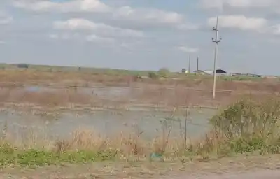 Fue a cazar con dos amigos, se hundió en un bañado y no podían sacarlo