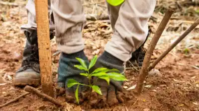 De un proyecto a diez: el secreto que está transformando el campo argentino y genera ingresos millonarios