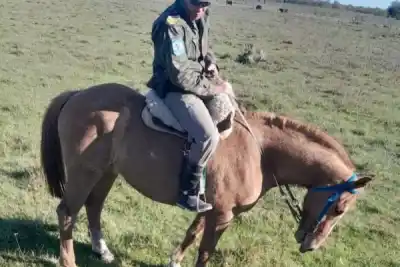 Fueron a buscar ganado robado a un campo de Goya y se toparon con algo que nadie esperaba