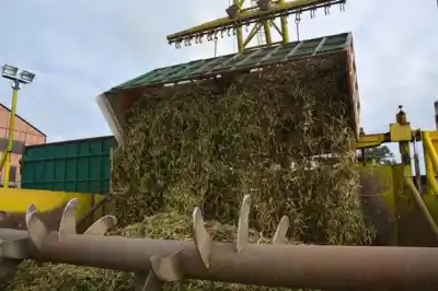 La zafra superó las 16 millones de toneladas y un producto se disparó 136%
