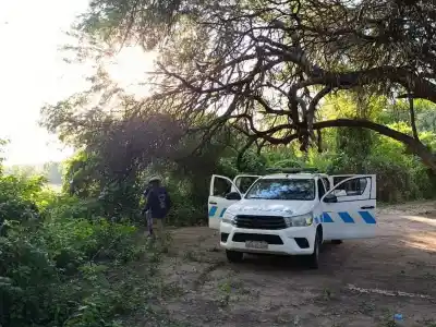 Los esperaron escondidos en el monte: dos detenidos y 400 kilos de carne que no llegaron a destino